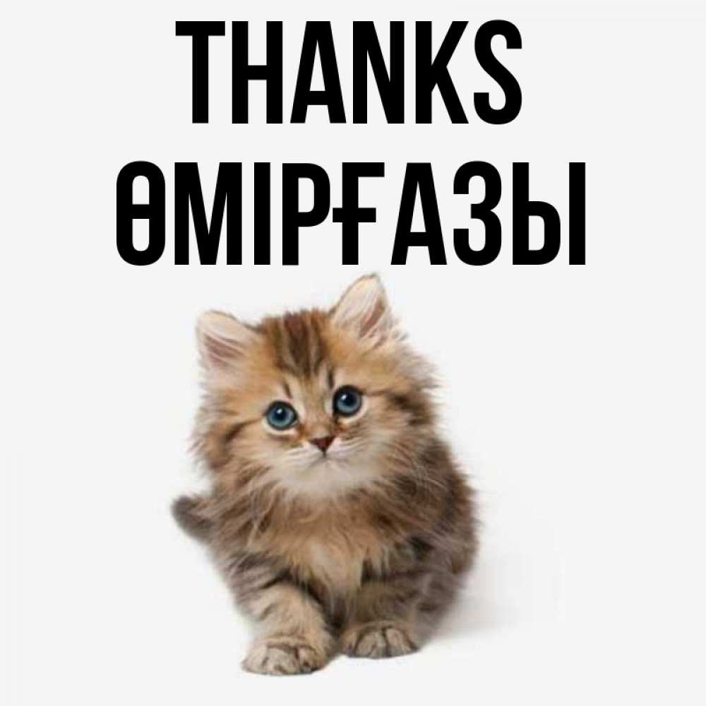 Greetings card с именем, ӨМІРҒАЗЫ Thanks пушистый котик Greetings with text for free download 