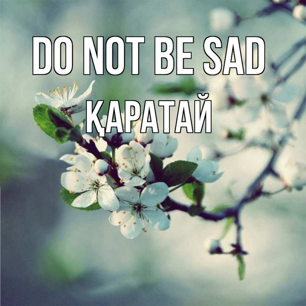 Greetings card с именем, Қаратай Do not be sad яблоня в цвету 1 Greetings with text for free download 