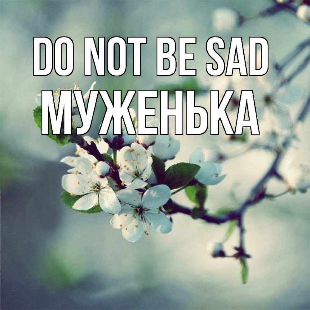 Greetings card с именем, Муженька Do not be sad яблоня в цвету 1 Greetings with text for free download 
