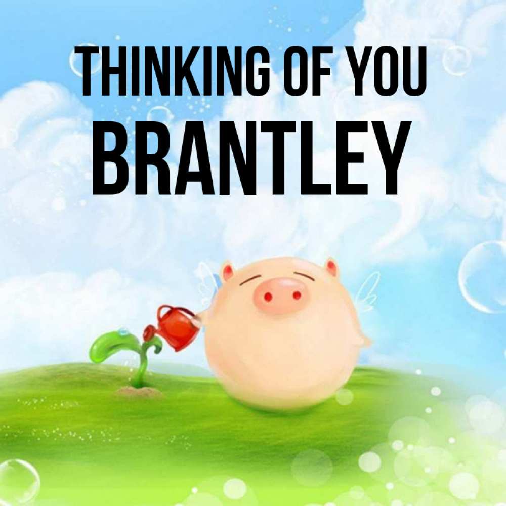 Greetings card с именем, Brantley Thinking of you позитивная свинюшка Greetings with text for free download 
