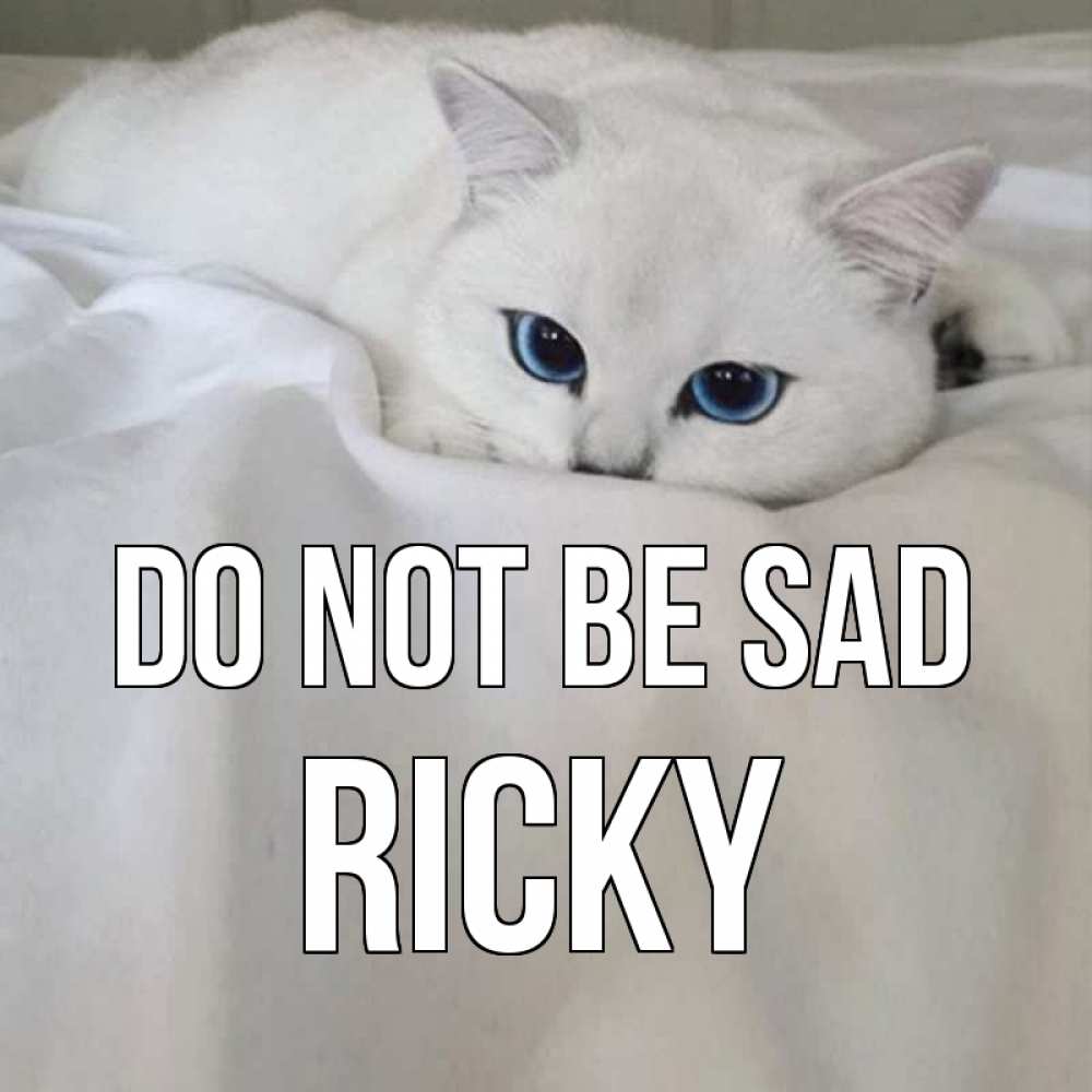 Greetings card с именем, Ricky Do not be sad белый кот с голубыми глазами на белоснежной кровати Greetings with text for free download 