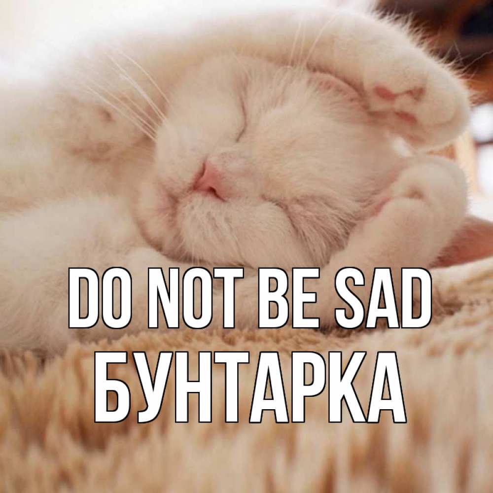 Greetings card с именем, Бунтарка Do not be sad белый кот Greetings with text for free download 