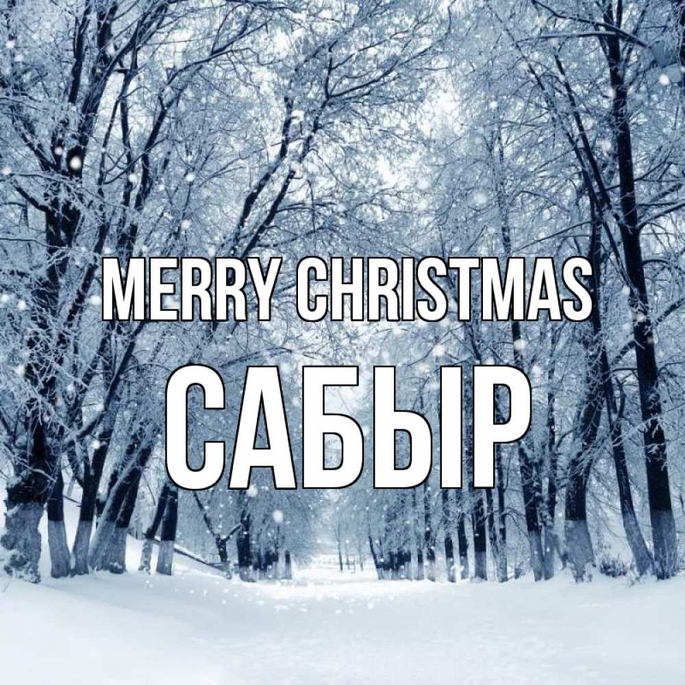 Greetings card с именем, САБЫР Merry Christmas снег, лес, парк Greetings with text for free download 