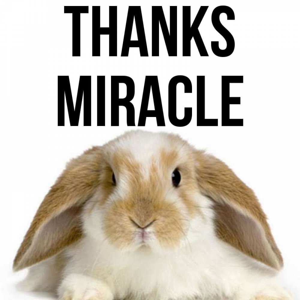 Greetings card с именем, Miracle Thanks коричнево белый заяц Greetings with text for free download 