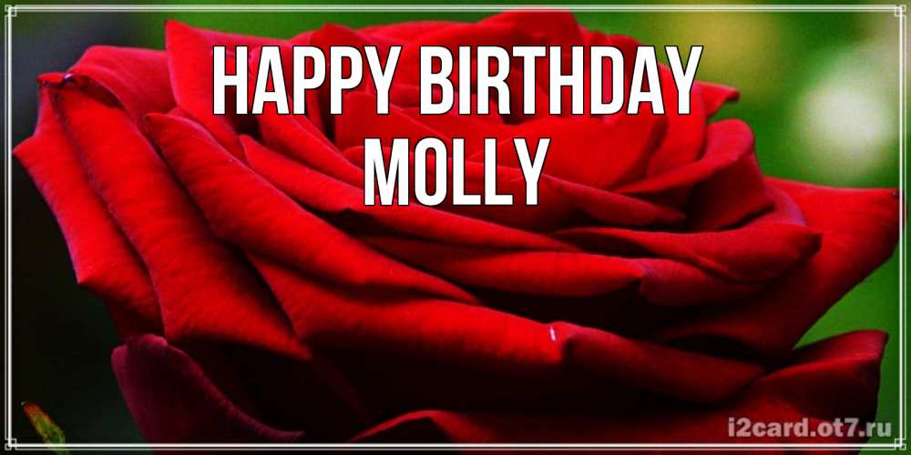Greetings card с именем, Molly Happy Birthday розочка очень красивая Greetings with text for free download 