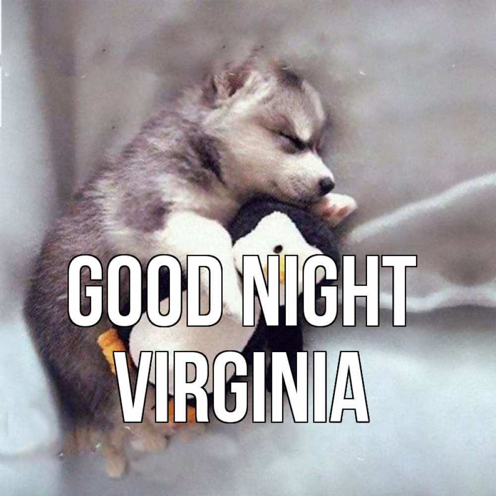 Greetings card с именем, Virginia Good night обнимашки щенка и пингвина Greetings with text for free download 