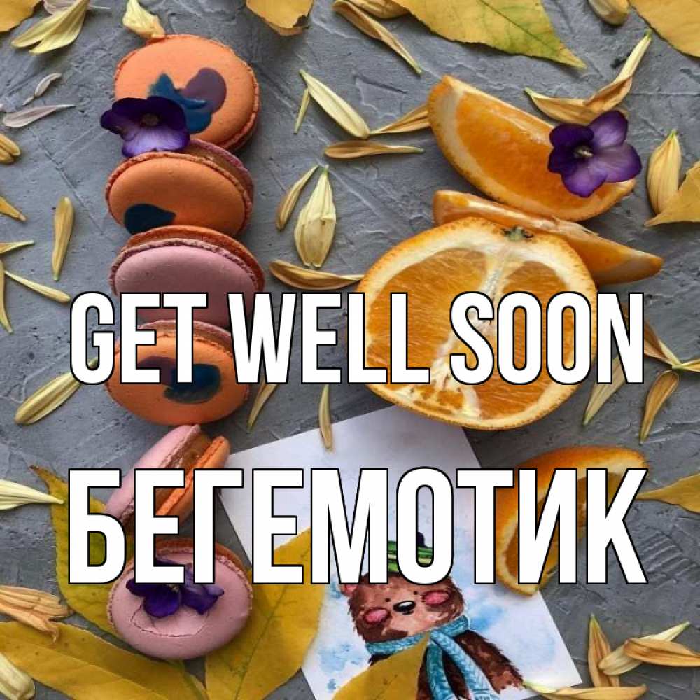 Greetings card с именем, Бегемотик Get well soon не болейте Greetings with text for free download 