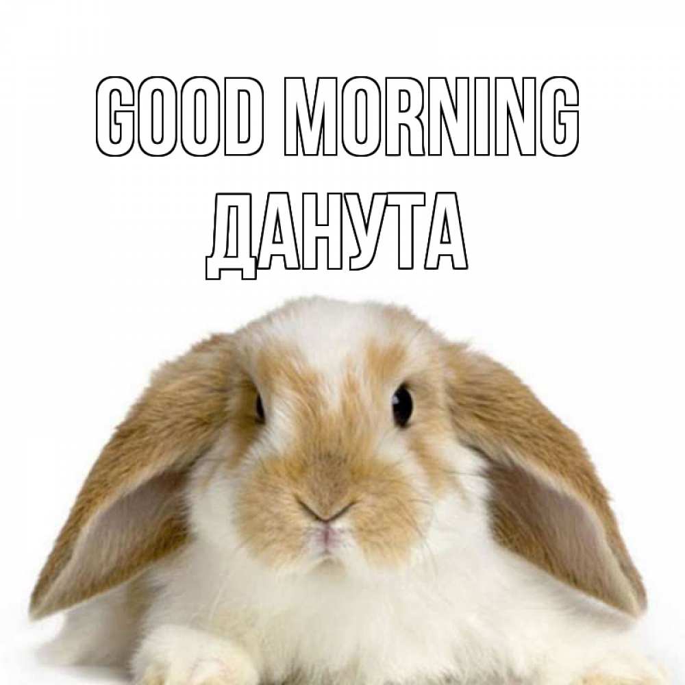 Greetings card с именем, Данута Good morning прикольные открытки на каждый день Greetings with text for free download 