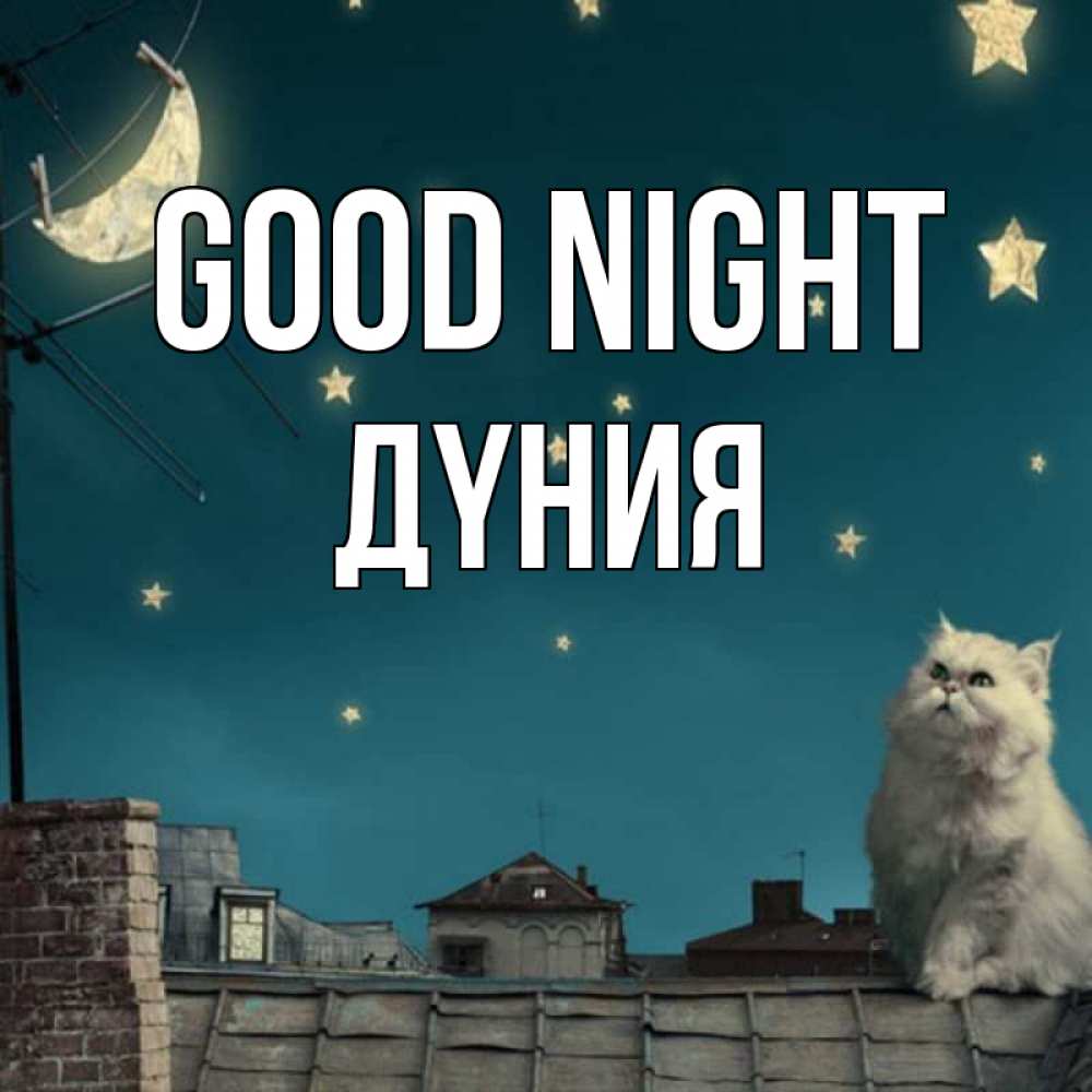 Greetings card с именем, ДҮНИЯ Good night белый кот сидит на крыше Greetings with text for free download 