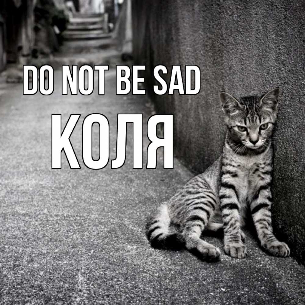 Greetings card с именем, Коля Do not be sad скучающий котик Greetings with text for free download 
