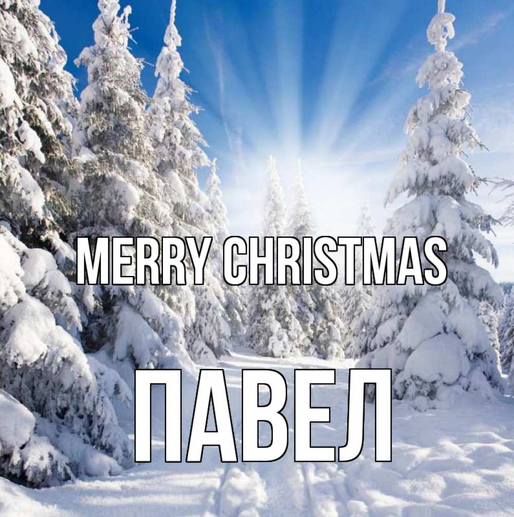Greetings card с именем, Павел Merry Christmas зима, лес Greetings with text for free download 
