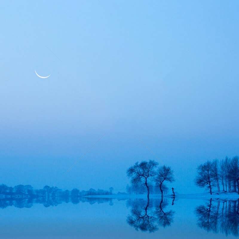 Открытка отражения деревьев в воде  весна  Good night 