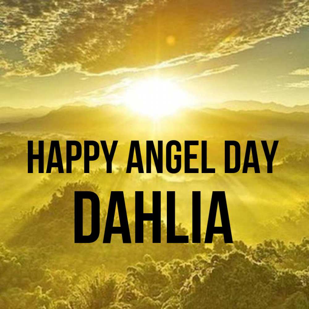 Greetings card с именем, Dahlia happy angel day леса и небо в желтом Greetings with text for free download 
