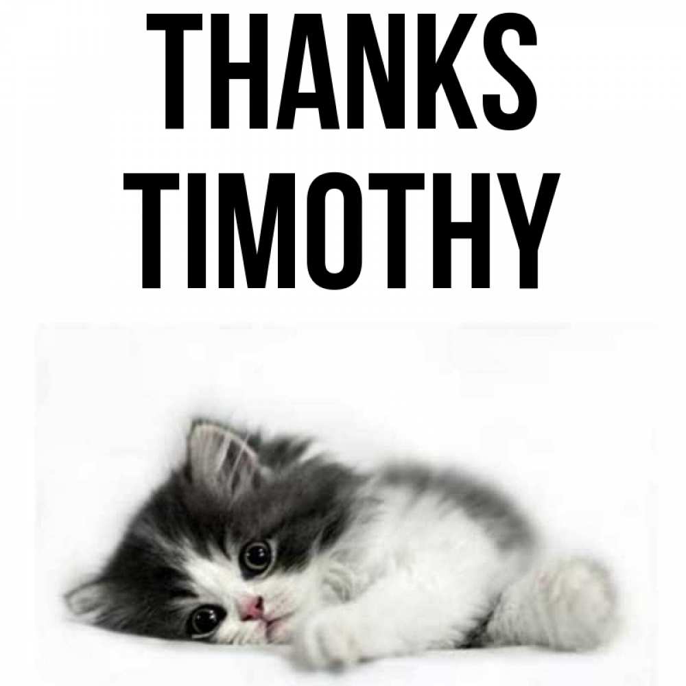 Greetings card с именем, Timothy Thanks черный и белый кот Greetings with text for free download 