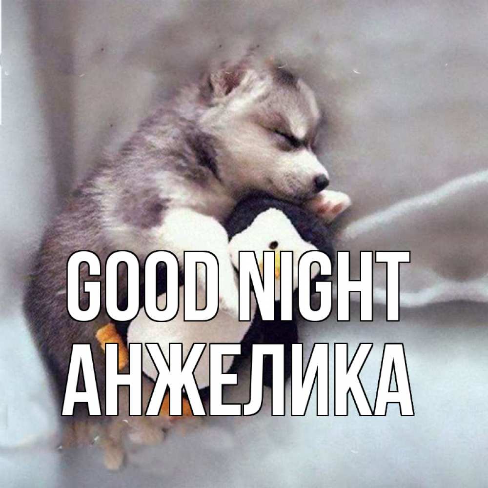 Greetings card с именем, Анжелика Good night обнимашки щенка и пингвина Greetings with text for free download 