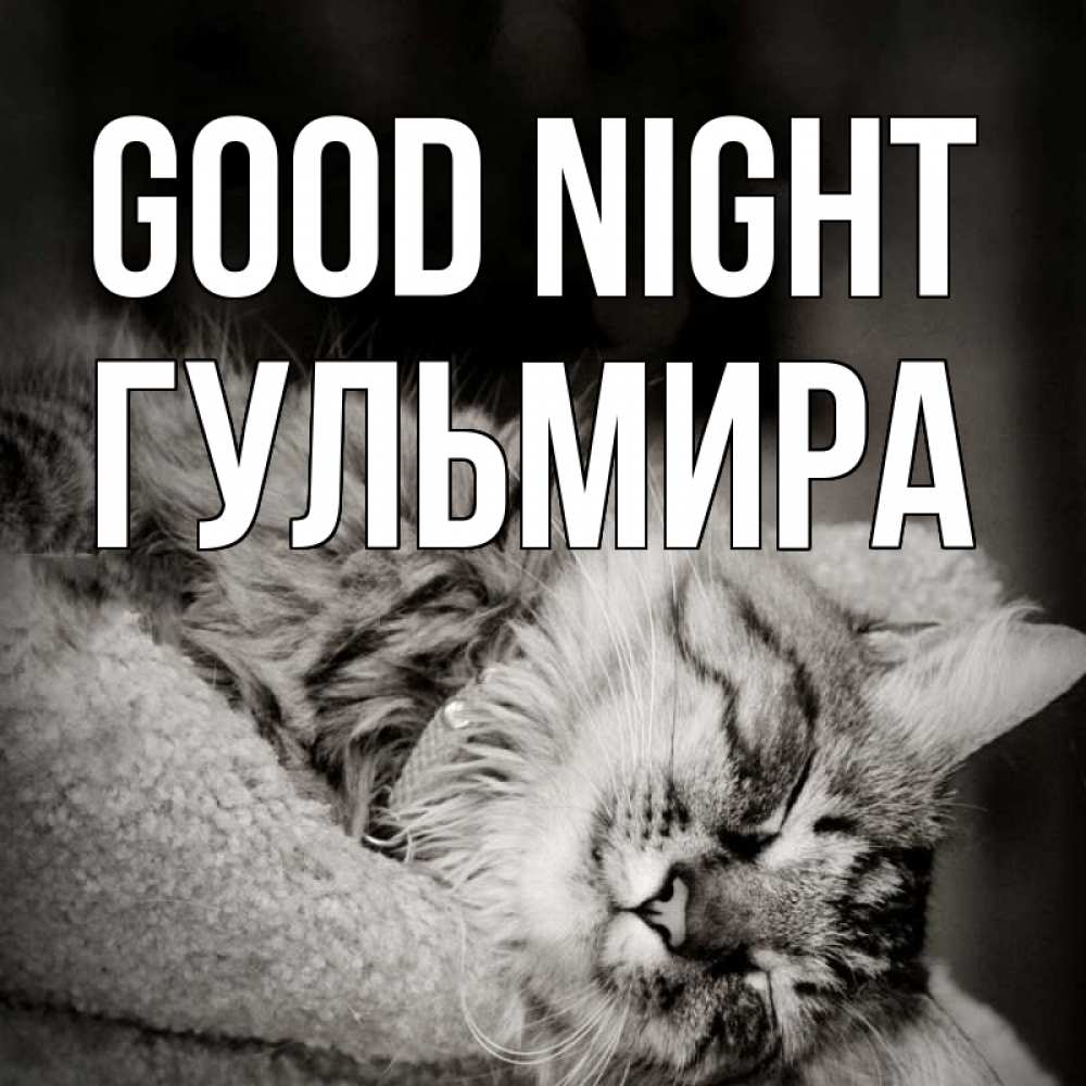Greetings card с именем, Гульмира Good night котярик пушистый Greetings with text for free download 