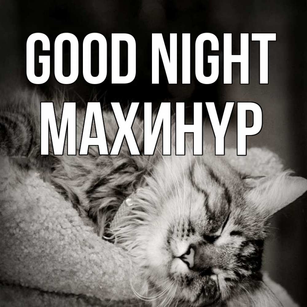 Greetings card с именем, МАХИНҮР Good night котярик пушистый Greetings with text for free download 