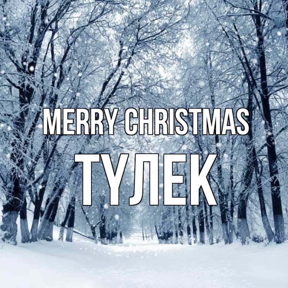 Greetings card с именем, ТҮЛЕК Merry Christmas снег, лес, парк Greetings with text for free download 