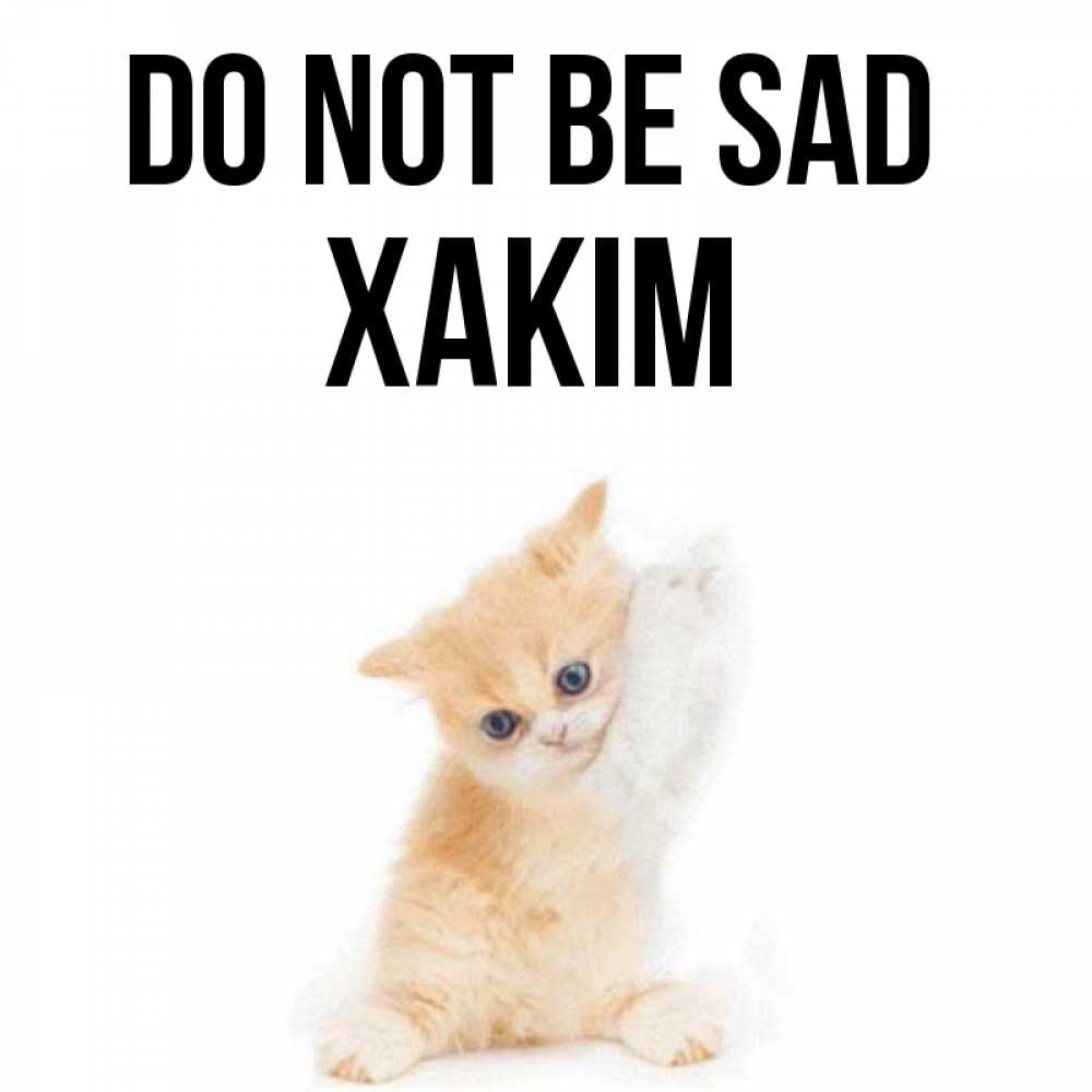 Greetings card с именем, ХАКІМ Do not be sad просящий кот Greetings with text for free download 