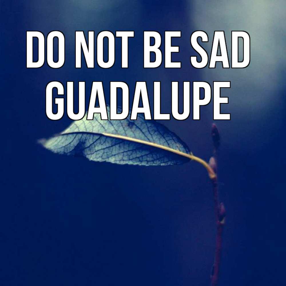 Greetings card с именем, Guadalupe Do not be sad растение Greetings with text for free download 