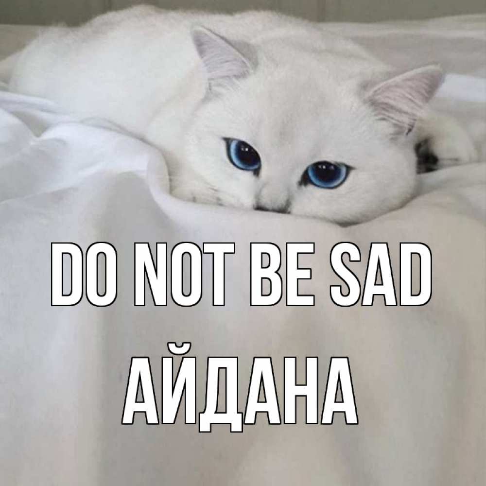 Greetings card с именем, АЙДАНА Do not be sad белый кот с голубыми глазами на белоснежной кровати Greetings with text for free download 