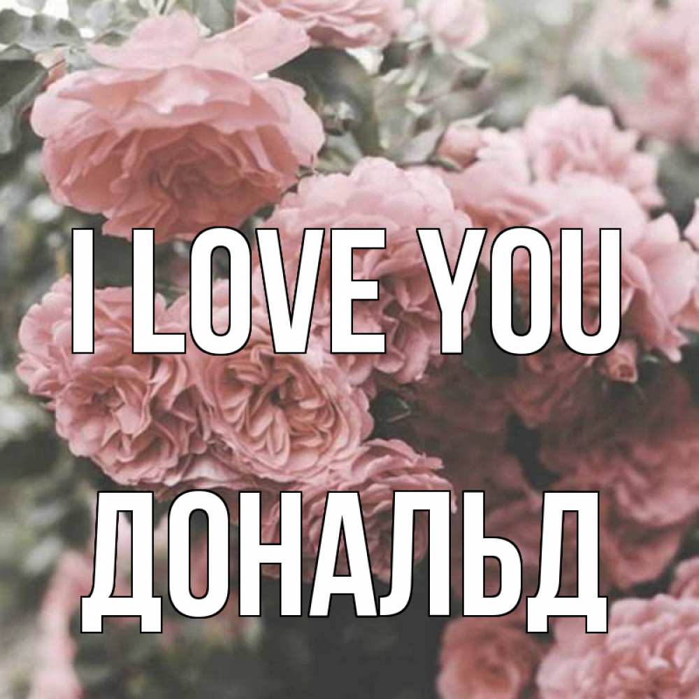 Greetings card с именем, Дональд I love you розы 3 Greetings with text for free download 