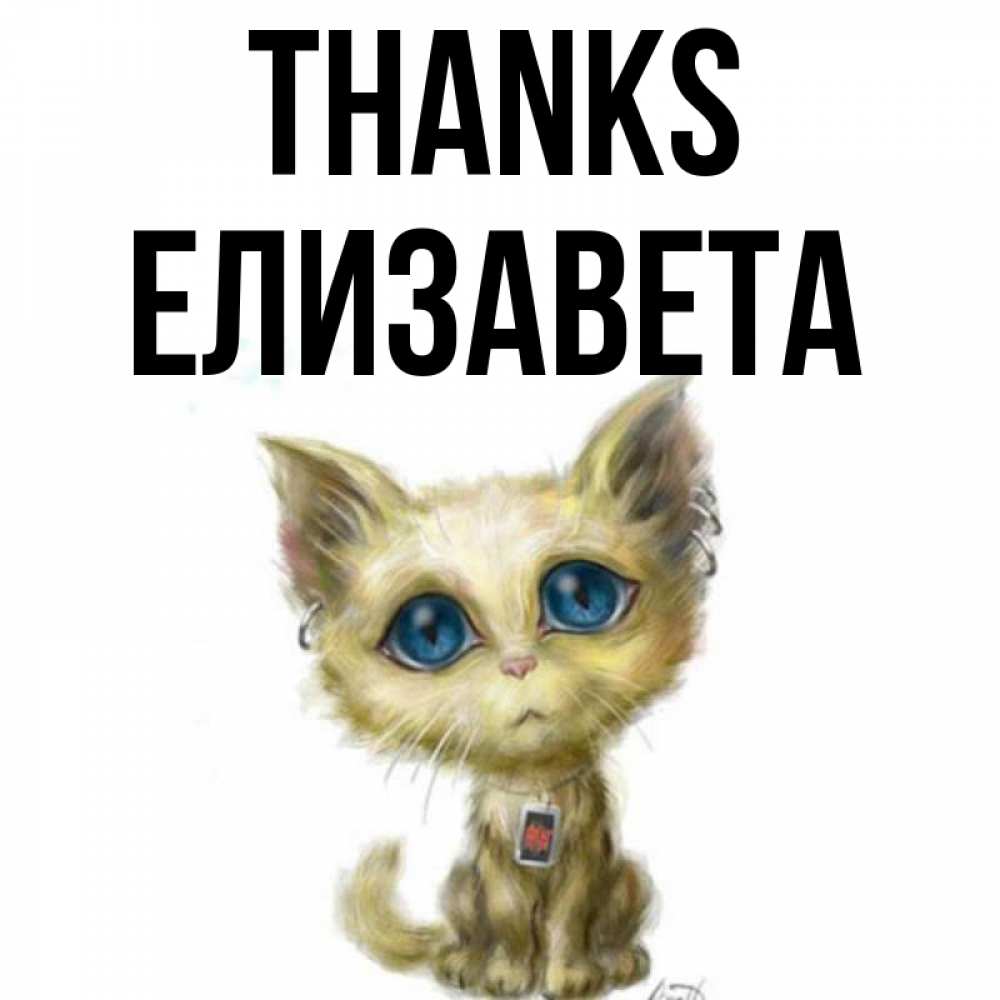 Greetings card с именем, Елизавета Thanks рисованный кот благодарит вас Greetings with text for free download 