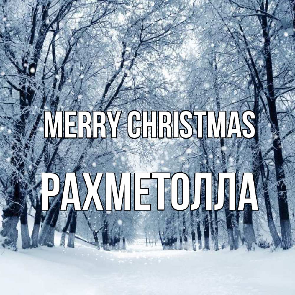 Greetings card с именем, РАХМЕТОЛЛА Merry Christmas снег, лес, парк Greetings with text for free download 