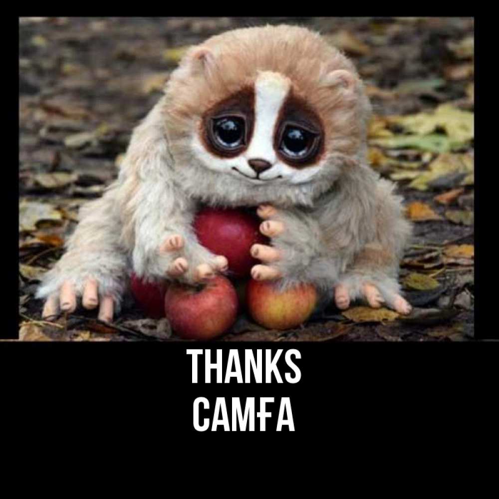 Greetings card с именем, САМҒА Thanks прикольное животное Greetings with text for free download 