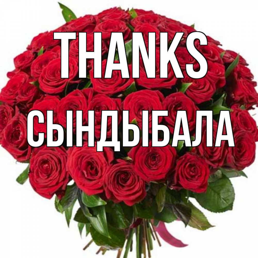 Greetings card с именем, СЫНДЫБАЛА Thanks букет красных роз Greetings with text for free download 