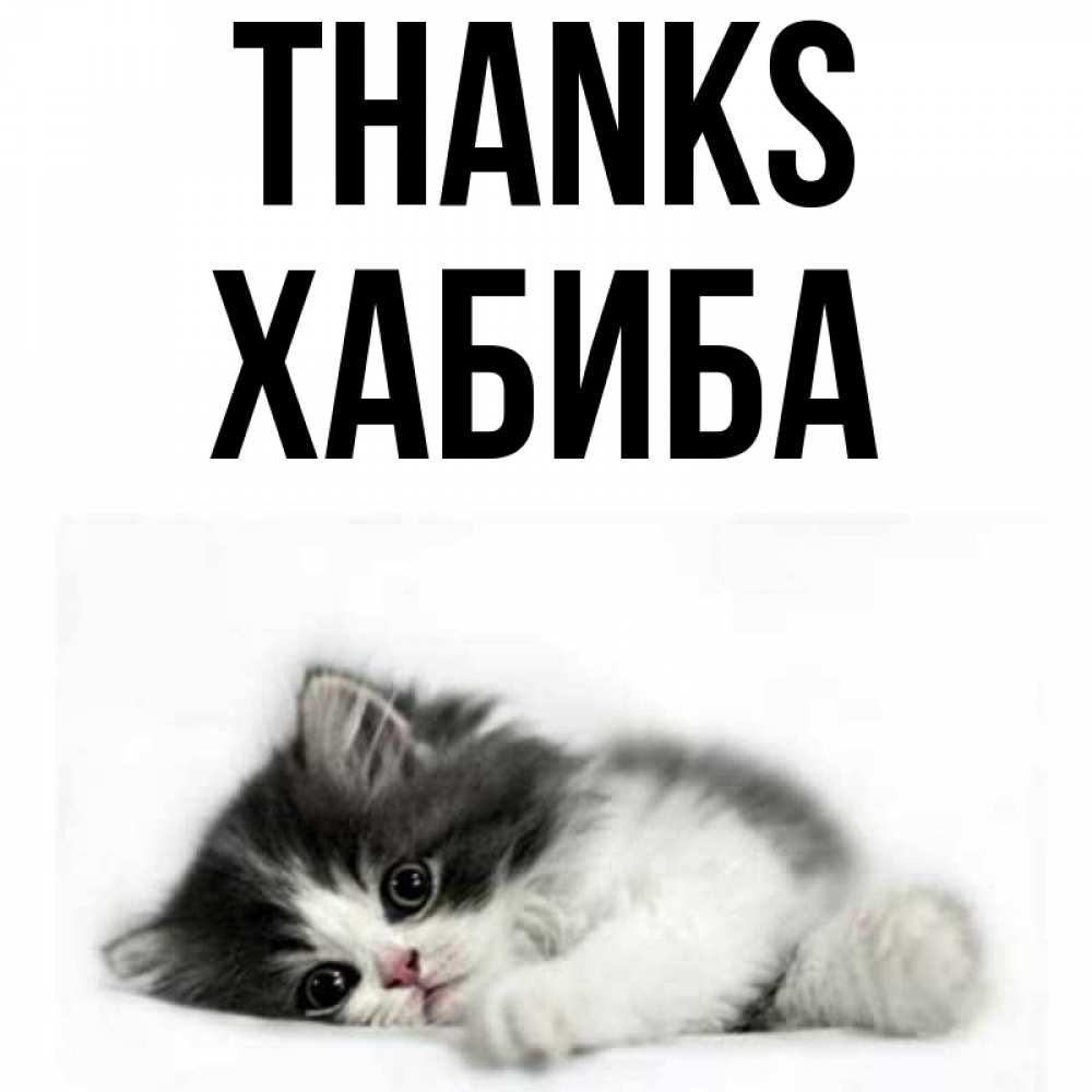 Greetings card с именем, ХАБИБА Thanks черный и белый кот Greetings with text for free download 