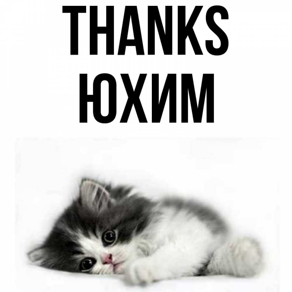 Greetings card с именем, Юхим Thanks черный и белый кот Greetings with text for free download 
