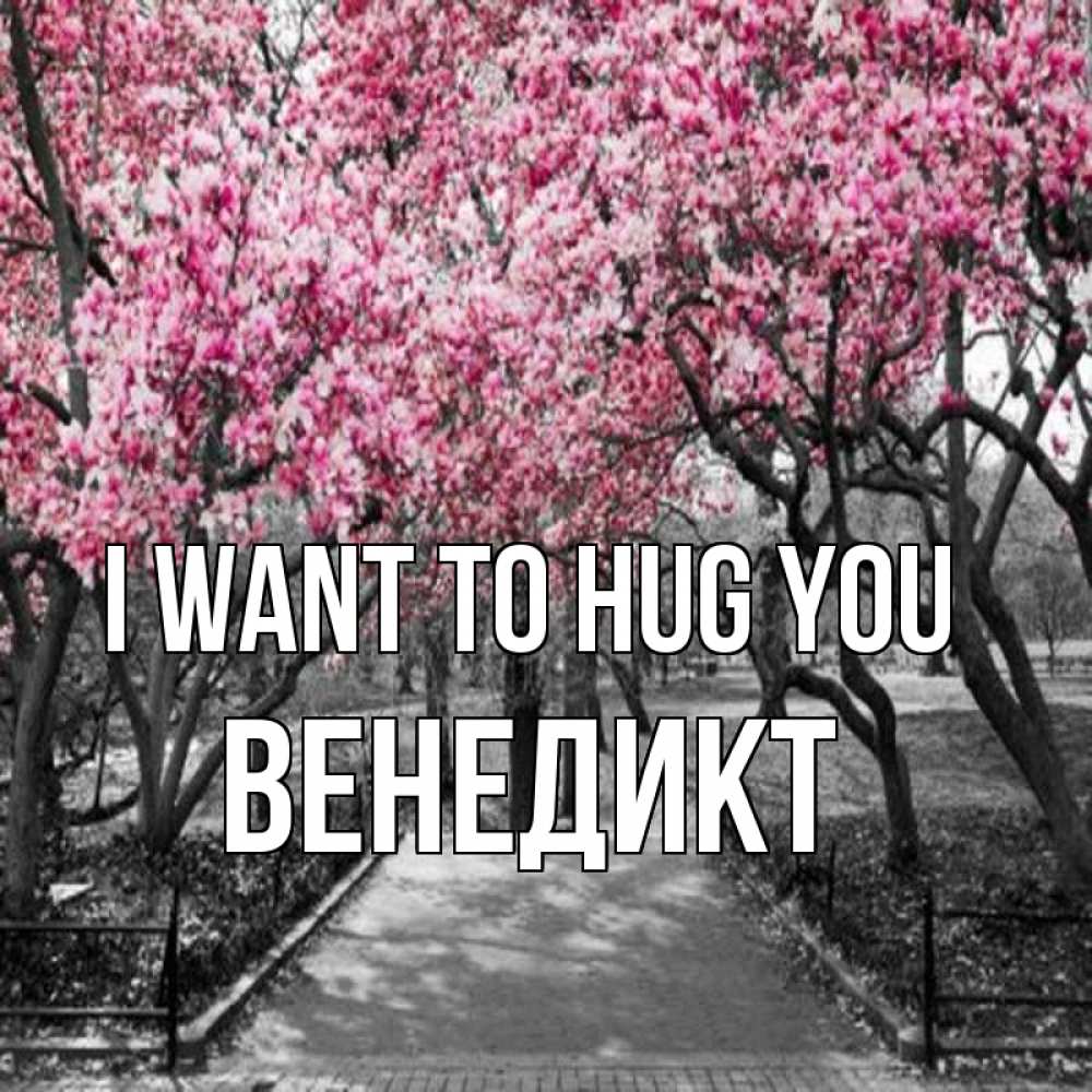 Greetings card с именем, Венедикт I want to hug you обработанное фото Greetings with text for free download 