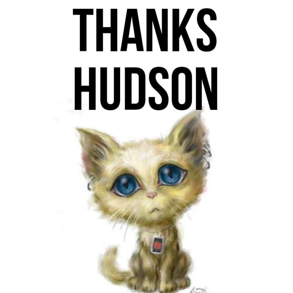 Greetings card с именем, Hudson Thanks рисованный кот благодарит вас Greetings with text for free download 