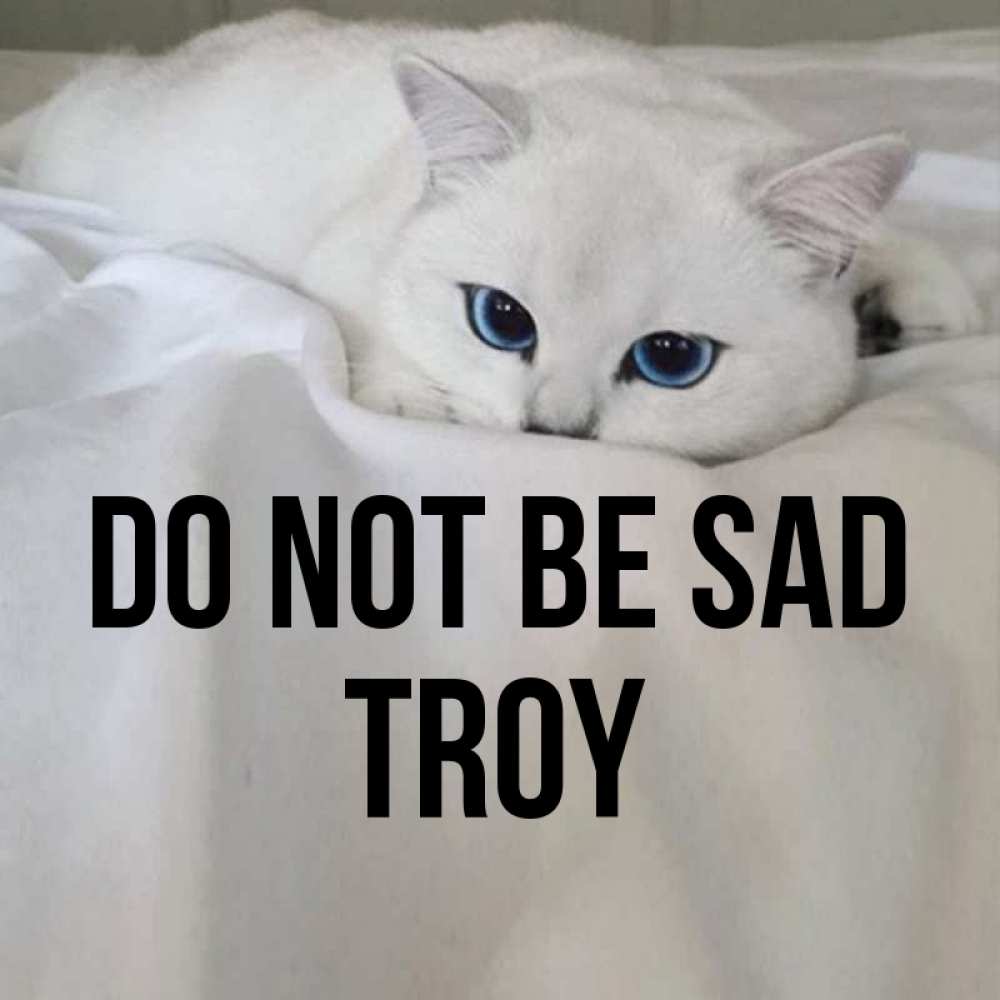 Greetings card с именем, Troy Do not be sad Голубоглазая кошка Greetings with text for free download 