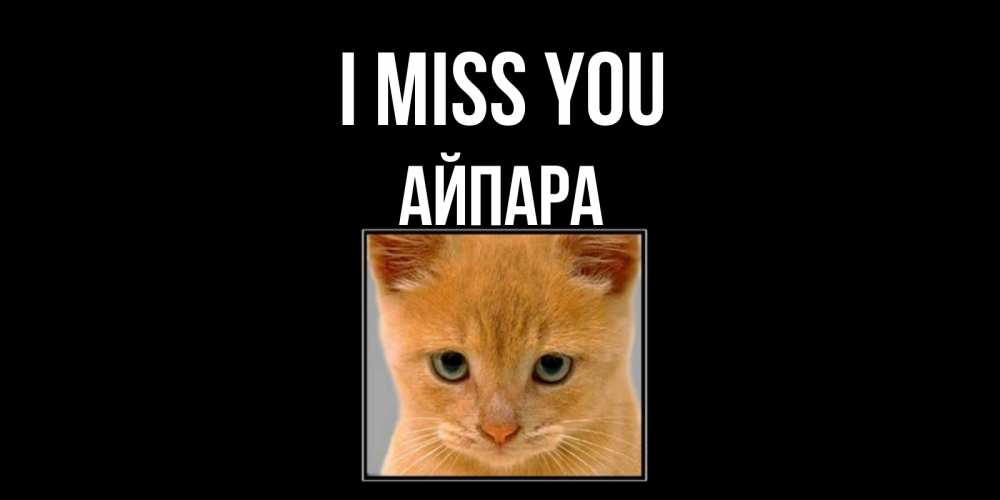 Greetings card с именем, АЙПАРА I miss you открытки рыжий котенок скучает по тебе Greetings with text for free download 