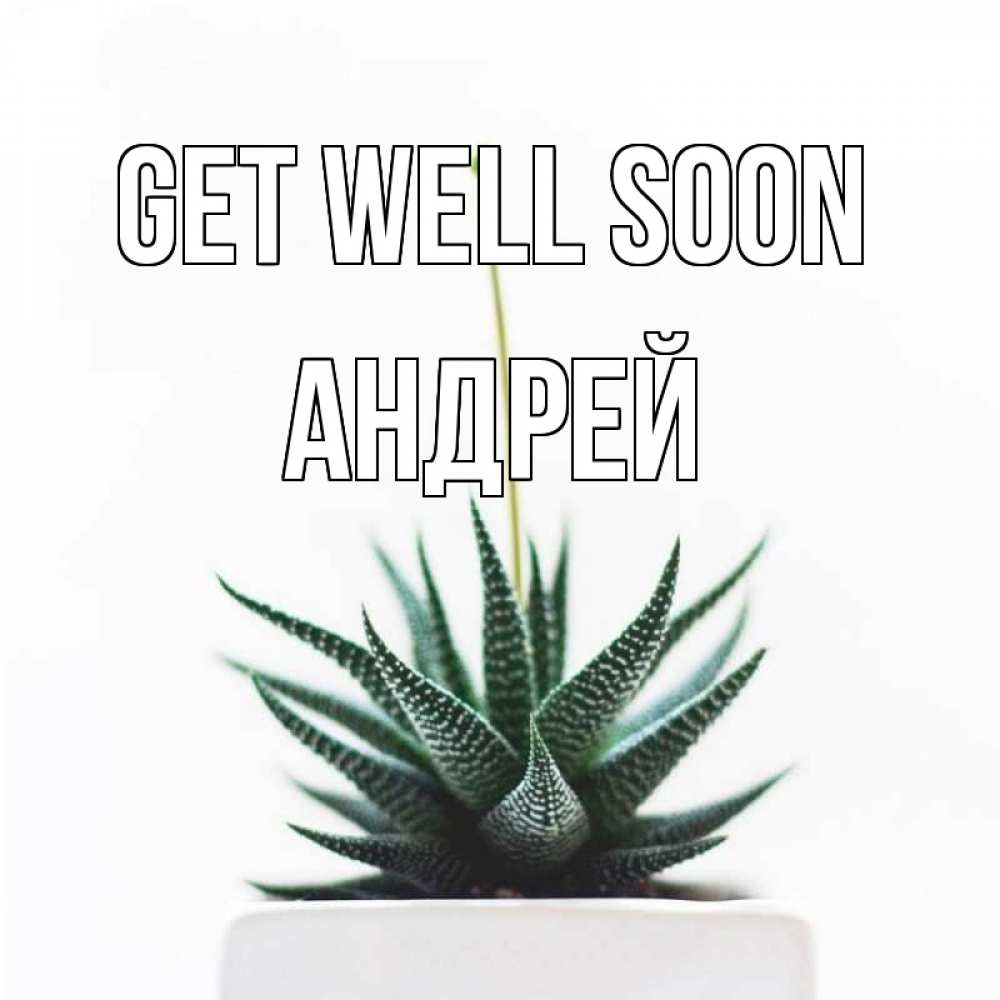 Greetings card с именем, Андрей Get well soon короче это непонятная колючка Greetings with text for free download 