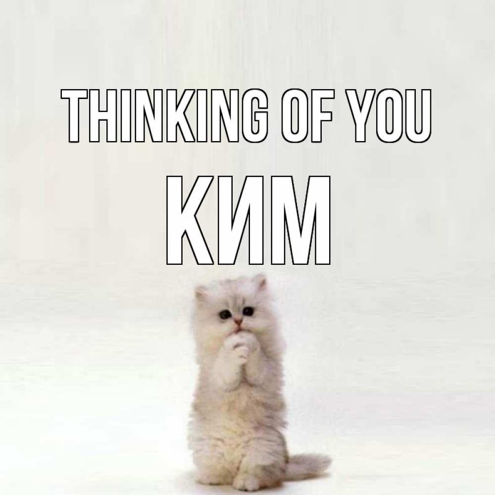 Greetings card с именем, Ким Thinking of you кот стоит на задних лапах Greetings with text for free download 