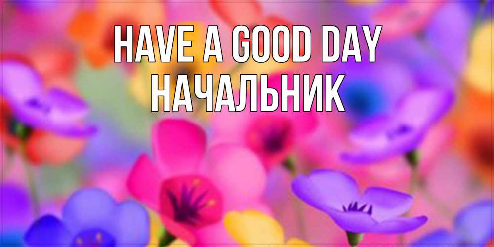 Greetings card с именем, Начальник Have a good day открытка повышающая настроение Greetings with text for free download 