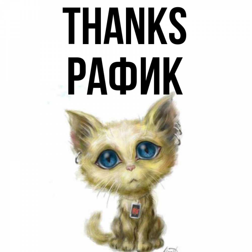 Greetings card с именем, РАФИК Thanks рисованный кот благодарит вас Greetings with text for free download 