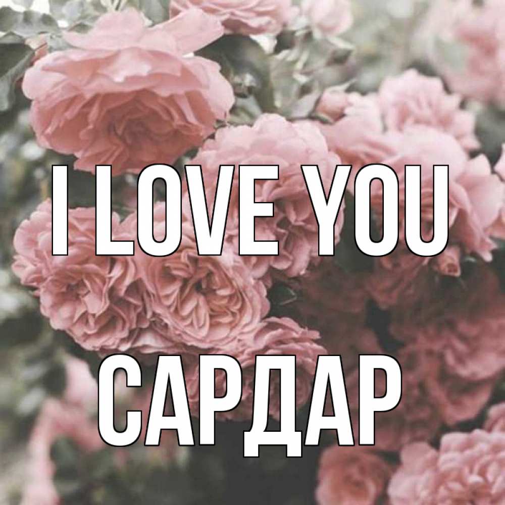 Greetings card с именем, САРДАР I love you розы 3 Greetings with text for free download 