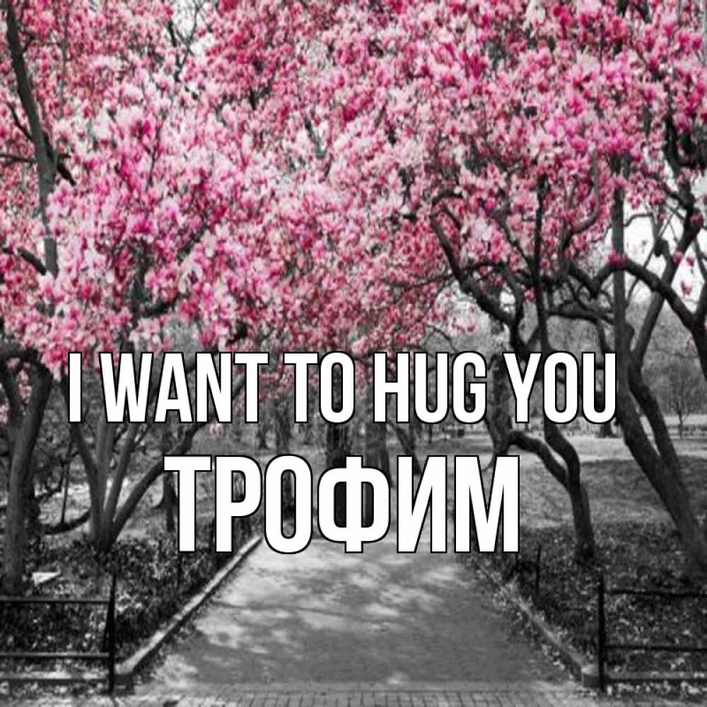 Greetings card с именем, Трофим I want to hug you обработанное фото Greetings with text for free download 
