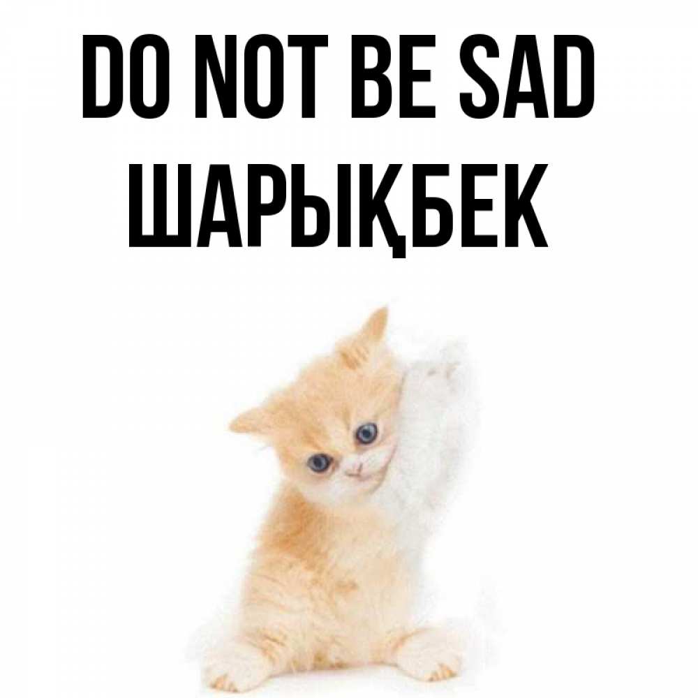 Greetings card с именем, ШАРЫҚБЕК Do not be sad просящий кот Greetings with text for free download 