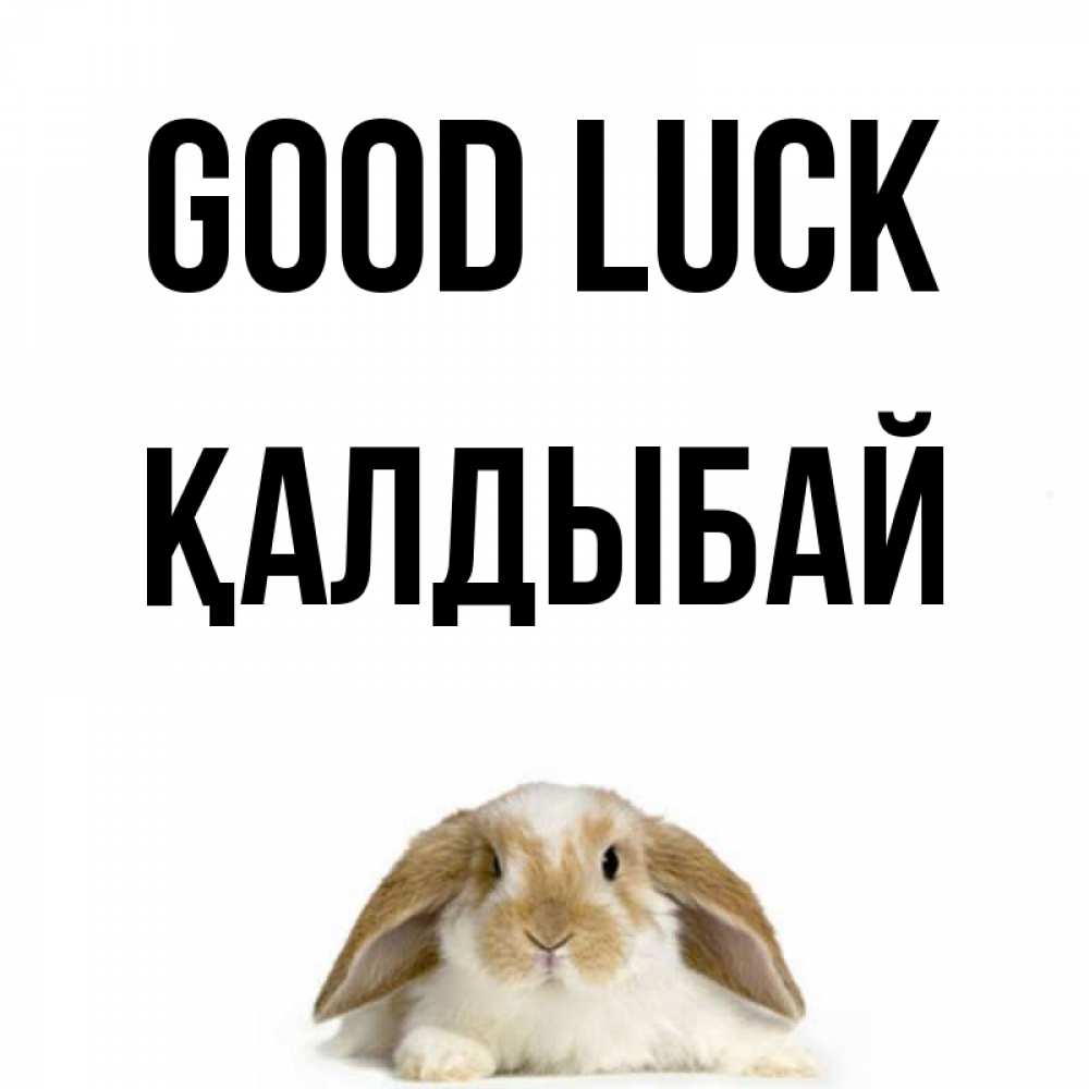 Greetings card с именем, Қалдыбай Good luck открытки с произвольным текстом который можно вставить в открытку и создать ее самостоятельно бесплатно онлайн Greetings with text for free download 