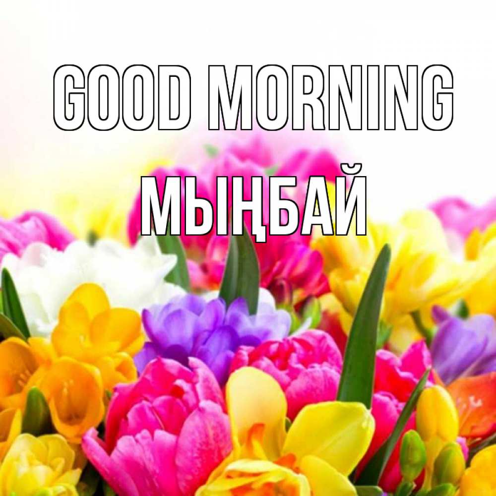 Greetings card с именем, МЫҢБАЙ Good morning создать открытку со свое подписью Greetings with text for free download 