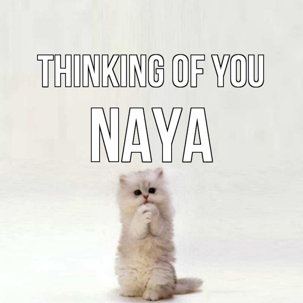 Greetings card с именем, Naya Thinking of you кот стоит на задних лапах Greetings with text for free download 