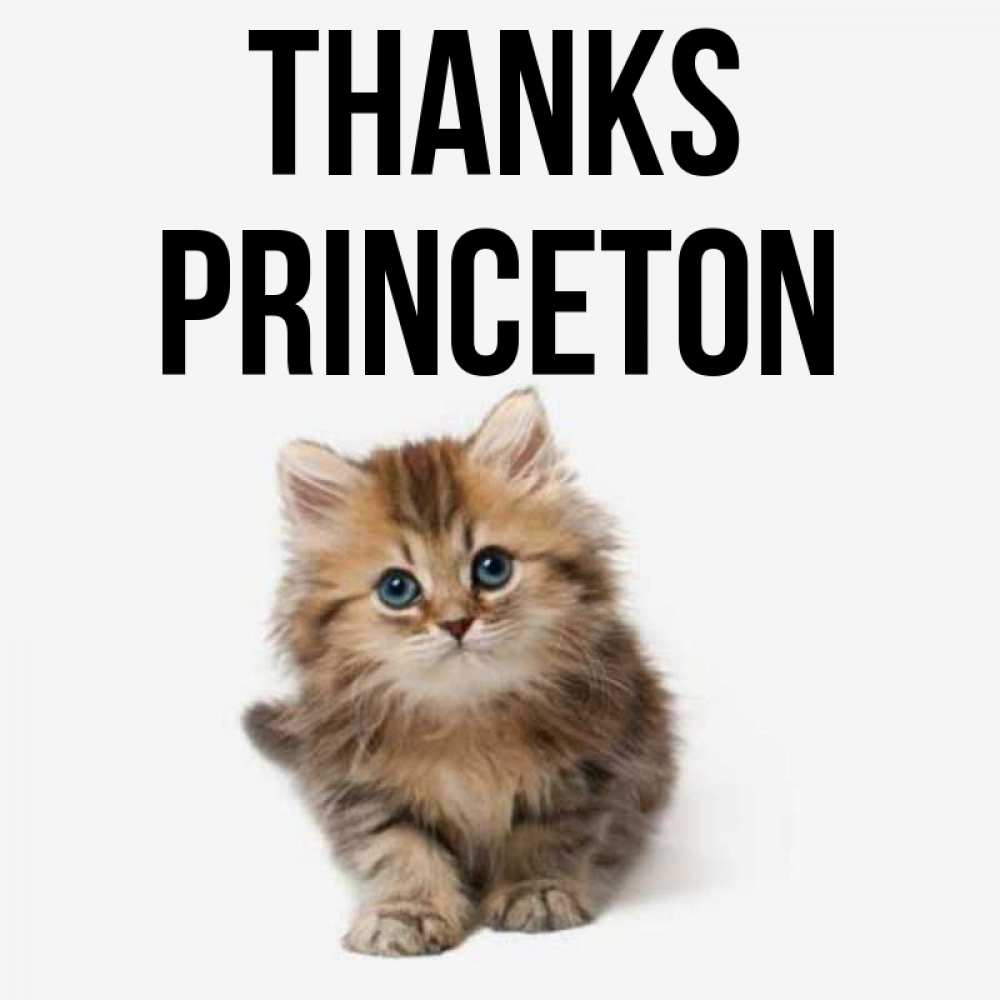 Greetings card с именем, Princeton Thanks пушистый котик Greetings with text for free download 