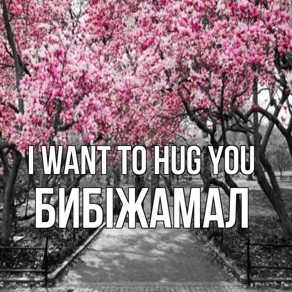 Greetings card с именем, БИБІЖАМАЛ I want to hug you обработанное фото Greetings with text for free download 