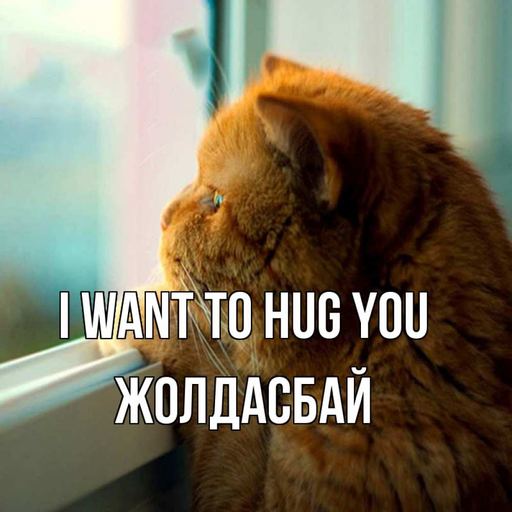 Greetings card с именем, Жолдасбай I want to hug you большой огромный рыжий котяра Greetings with text for free download 
