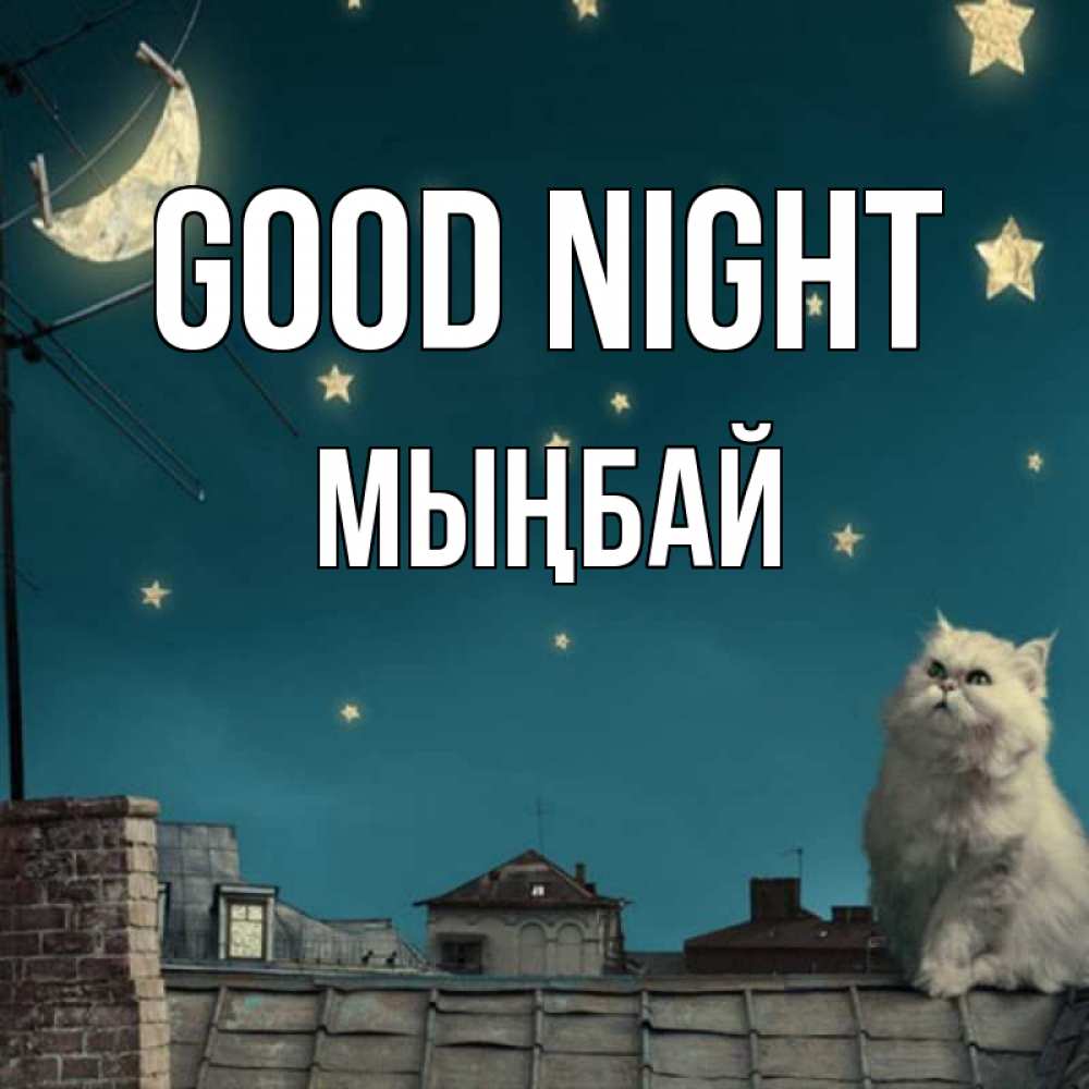 Greetings card с именем, МЫҢБАЙ Good night белый кот сидит на крыше Greetings with text for free download 